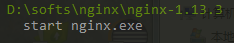 startnginx